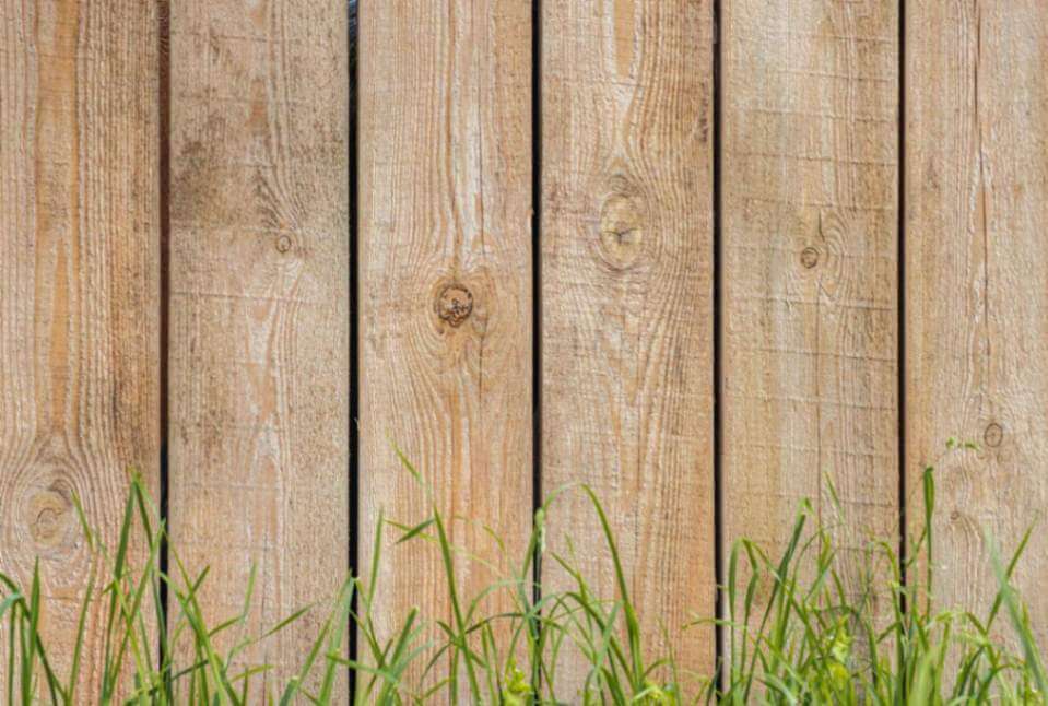 close up shot of timber fencing